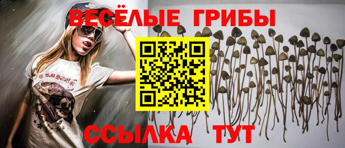 Каспийск  Галлюциногенные грибы прущие грибы  Вход с VPN 